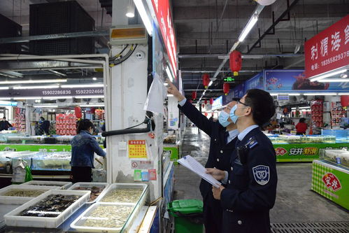 “守夜人”護(hù)民生 武清區(qū)市場(chǎng)監(jiān)管局開(kāi)展五一節(jié)前農(nóng)貿(mào)市場(chǎng)集中夜查行動(dòng)